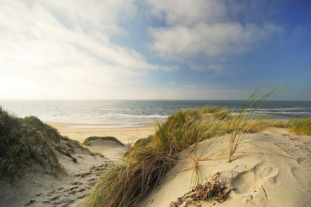 Vila Zonneweelde Dirkshorn Exteriér fotografie